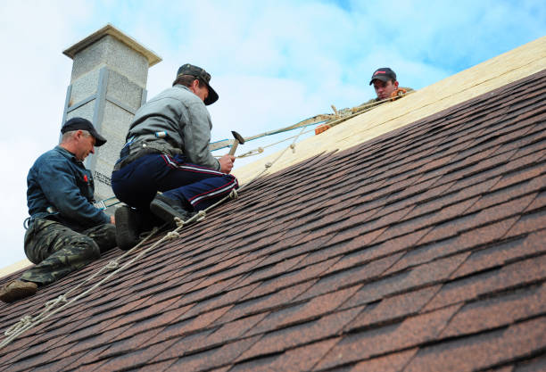 Best Roof Gutter Cleaning  in South Fulton, TN