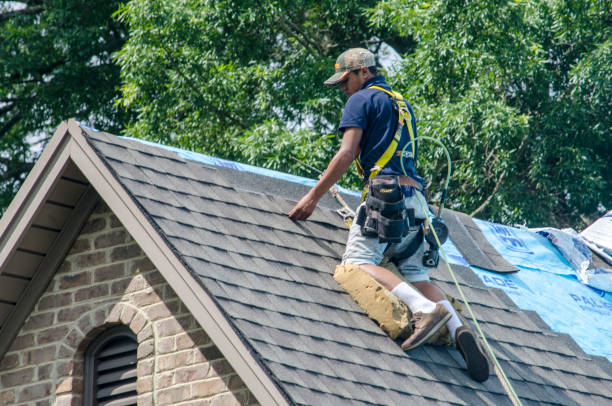 Best Roof Replacement Cost  in South Fulton, TN